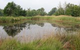 Natuurrerservaat Winkelsbroek-De Dongen