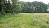 Natuurrerservaat Winkelsbroek-De Dongen