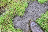 Natuurrerservaat Winkelsbroek-De Dongen