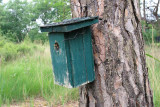 Natuurrerservaat Winkelsbroek-De Dongen