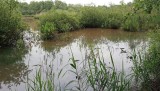 Natuurrerservaat Winkelsbroek-De Dongen