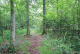 Natuurrerservaat Winkelsbroek-De Dongen