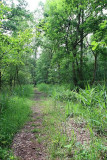Natuurrerservaat Winkelsbroek-De Dongen