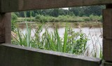 Natuurrerservaat Winkelsbroek-De Dongen