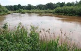 Natuurrerservaat Winkelsbroek-De Dongen