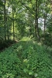 Dombergheide Wandeling Turnhout