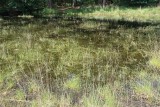 Dombergheide Wandeling Turnhout