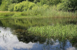 Dombergheide Wandeling Turnhout