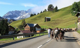 Kleinwalsertal 2007 - Viehscheid am 19.9.2007