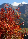 Kleinwalsertal - Rundwanderung Bärgunttal - 22.9.2007