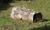 Kleinwalsertal - Rundwanderung Bärgunttal - 22.9.2007