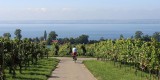 Fietsen aan de Bodensee