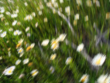 IMG_7800-1.jpg