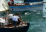LA MOUETTE RIEUSE