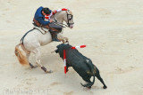 The magic horse