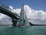 Tourist yacht going under Auckland Harbour Bridge