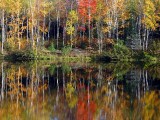 la rive d'automne