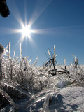 Le téléobjectif de Leo , le soleil et le champ de glace