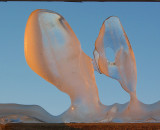 Les amants de glace