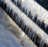La glace sur la clôture