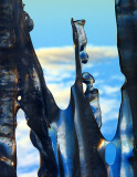 Blue ice