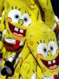 sponge bob - bob l'éponge