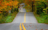 les feuilles sur la route