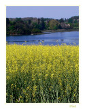 La rivire au fond