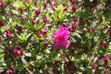 ir-130501_09935_11-24.jpg