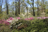 ir-130501_09937_11-25.jpg
