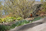 ir-130501_09938_11-26.jpg