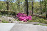 ir-130501_09939_11-28.jpg