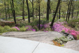 ir-130501_09941_11-28.jpg