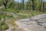 ir-130501_09956_11-33.jpg