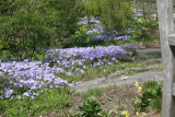 ir-130501_09957_11-33.jpg