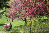 ir-130501_09966_11-39.jpg