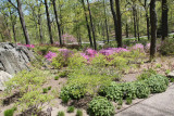 ir-130501_09967_11-40.jpg