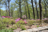 ir-130501_09971_11-41.jpg