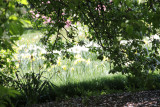 ir-130501_09981_11-46.jpg
