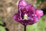 ir-130501_10032_12-23.jpg