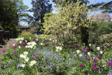 ir-130501_10042_12-28.jpg