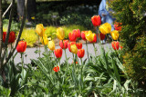 ir-130501_10051_12-33.jpg