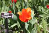 ir-130501_10056_12-34.jpg