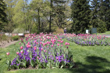 ir-130501_10106_13-22.jpg