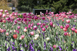 ir-130501_10119_13-24.jpg