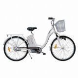 ir-Electric_Bicycle__Little_Angle_AGDT-313.jpg