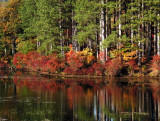 ir-200310142925_LakeKanawaukeHarriman_CR.jpg