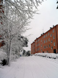 Winter in Hammarbyhöjden