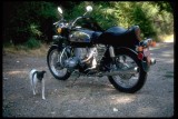 1971 BMW R60/5 motorcycle