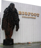 Bigfoot at the Museum